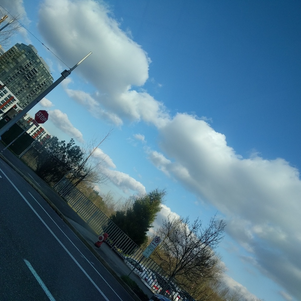 Meet your Posher, Violet